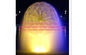 Латунные материальные сопла фонтана сферы одуванчика для на открытом воздухе Lanscape завод 