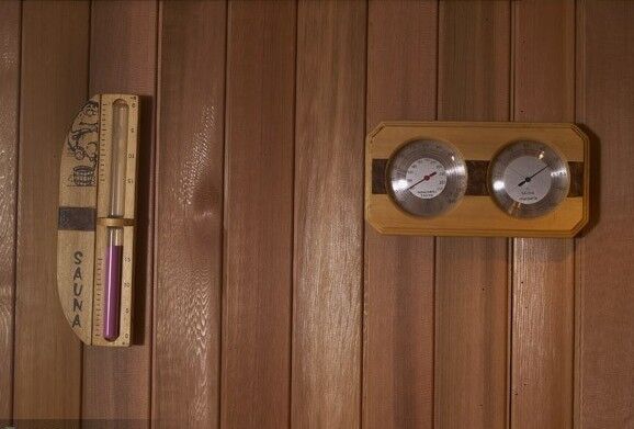 Подогреватель сауны пара комнаты сауны с двойным датчиком термометра/температуры